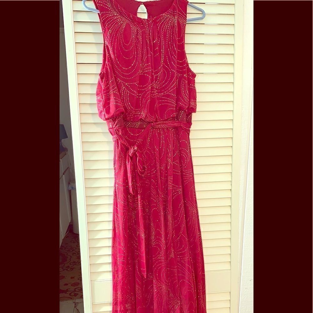 Shelby Nites Women’s Dress